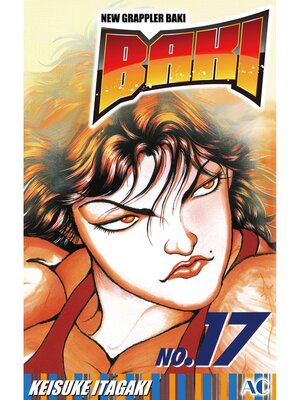 cover image of BAKI, Volume 17